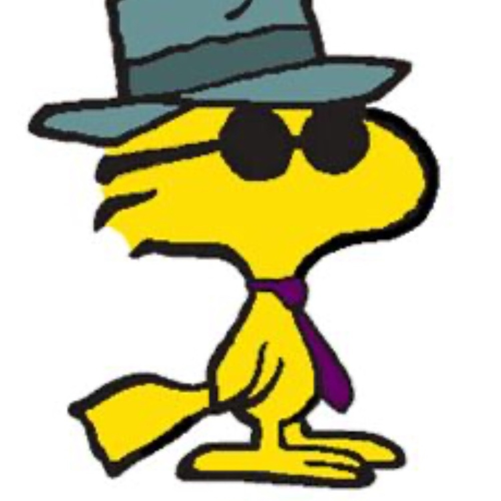 Meet your Posher Nik!